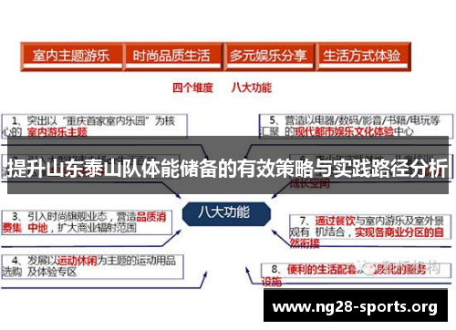 提升山东泰山队体能储备的有效策略与实践路径分析