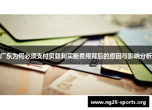 /uploads/images/20250815/guang-dong-wei-he-bi-xu-zhi-fu-bei-zi-li-mai-duan-fei-yong-bei-hou-de-yuan-yin-yu-ying-xiang-fen-xi.webp