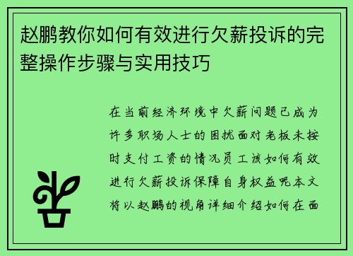 赵鹏教你如何有效进行欠薪投诉的完整操作步骤与实用技巧